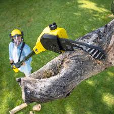 Best Lawn Pest Prevention  in Newstle, CA